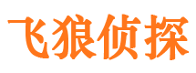 固安市私家侦探